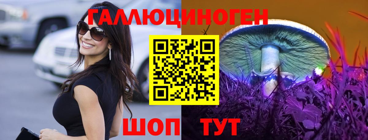 Псилоцибиновые грибы мухоморы  цена наркотик  Вход с VPN  Хабаровск  Псилоцибиновые грибы мицелий 